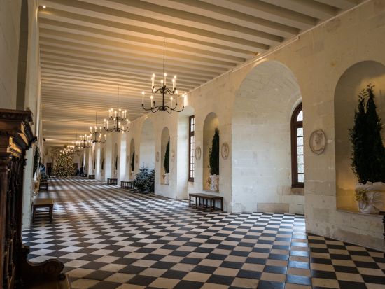 ロワール地方の古城めぐり 日帰りツアー シュノンソー城＆シャンボール城 ＜昼食付／日本語ガイド＞by Mybus