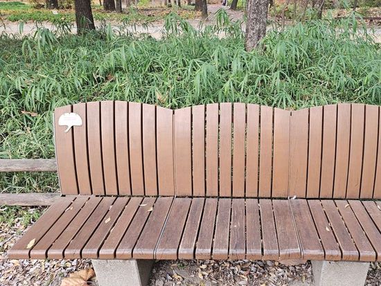 200013447_base_17340668430873