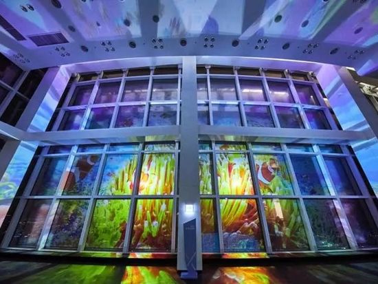 スカイ X ショー