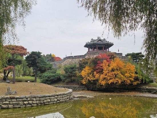 韓国ドラマロケ地巡りツアー【水原編】　「ソンジェ背負って走れ」などのロケ地を韓国ドラマに詳しいガイドがご案内！＜日本語ガイド＞