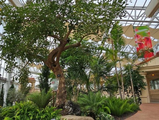 韓国ドラマロケ地巡りツアー【水原編】　「ソンジェ背負って走れ」などのロケ地を韓国ドラマに詳しいガイドがご案内！＜日本語ガイド＞