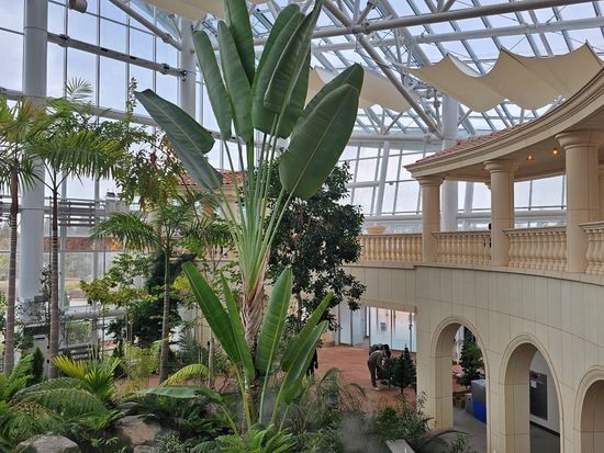 200013449_base_17340681313228