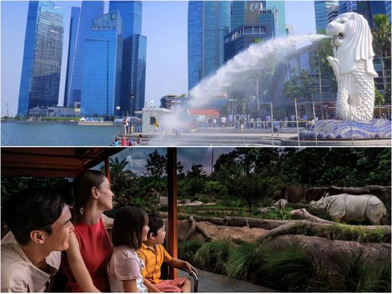 シンガポール半日観光＆ナイトサファリツアー マーライオンなど定番観光＋日本語音声トラム乗車＋特別指定席でアニマルショー鑑賞　夕食付き選択可＜午後／日本語ガイド＞