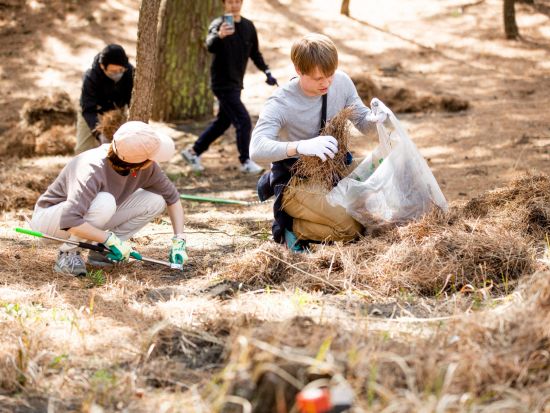 ずっと残したい!日本が誇るこの景色  ～世界遺産・三保松原を守る一員になりませんか～　＜午前半日 / 三保の松原観光・保全活動 / お土産付き> 