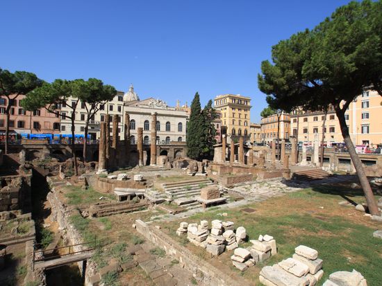 Italy_Rome_Largo di Torre Argentina_pixta_133725_L