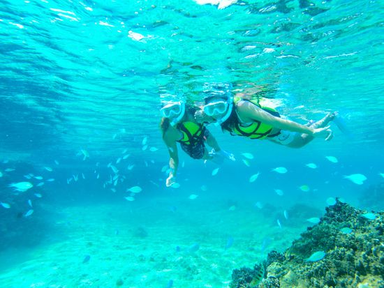 0b89f46d-9318-4a40-8889-a7cf5293