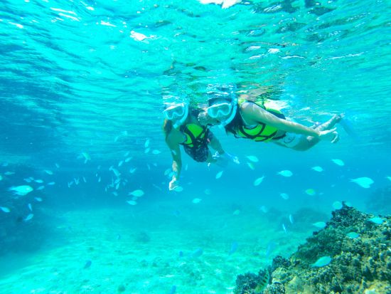 カタマランヨットDayクルーズ 完全貸切ボートチャータープラン＜3時間 or 6時間／最大8名様／与那原マリーナ発＞