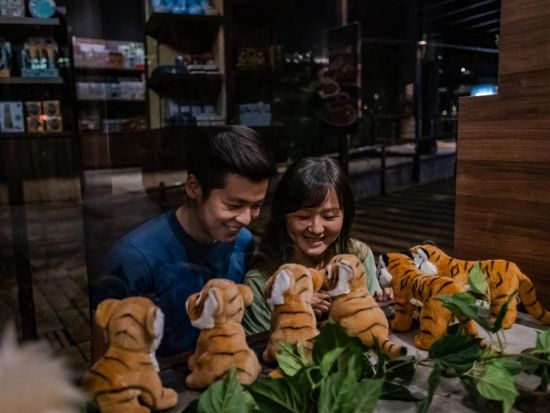 サファリ・アドベンチャーツアー　専用バギーでナイトサファリを動物園のスタッフがご案内 ＜日本語ガイド＞