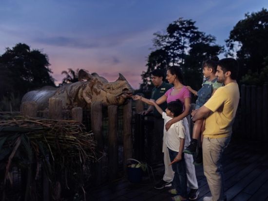 サファリ・アドベンチャーツアー　専用バギーでナイトサファリを動物園のスタッフがご案内 ＜日本語ガイド＞