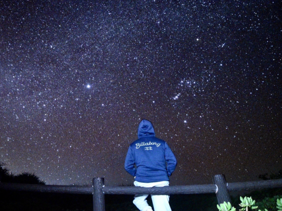 ジャングルナイトツアー 星空観賞とジャングル探検で非日常を体験＜約90分／宮古島＞