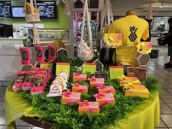 ハワイ島　1日観光ツアー　ドトールコーヒー農園＋キラウエア火山＋レインボー滝＋ファーマーズマーケット＋ビッグアイランドキャンディーズ＜日本語ガイド＞