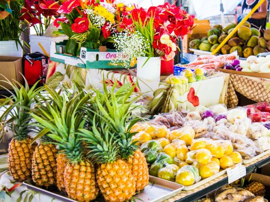 ハワイ島　1日観光ツアー　ドトールコーヒー農園＋キラウエア火山＋レインボー滝＋ファーマーズマーケット＋ビッグアイランドキャンディーズ＜日本語ガイド＞