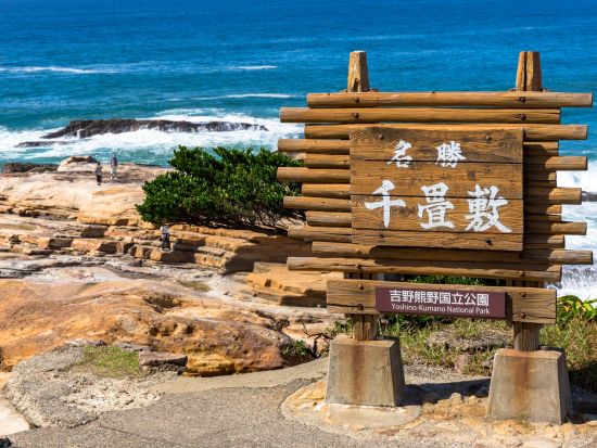 白浜温泉＋猫駅長のいる"貴志駅"＋千畳敷日帰りツアー 癒しと絶景を楽しむ和歌山旅＜大阪発着／日本語・中国語or英語＞