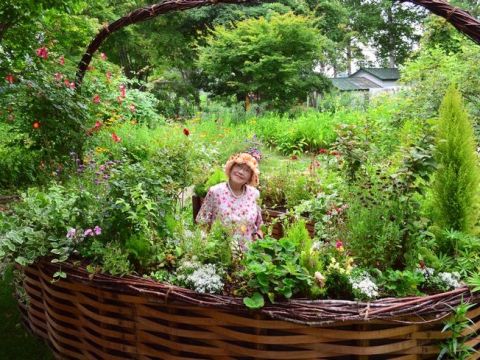 紫竹ガーデン満喫プラン 色とりどりの花々に囲まれた癒しの空間で、特別なひとときを過ごすコース＜昼食付／帯広＞