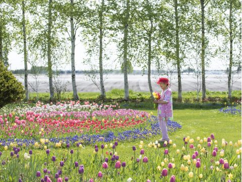 紫竹ガーデン満喫プラン 色とりどりの花々に囲まれた癒しの空間で、特別なひとときを過ごすコース＜昼食付／帯広＞