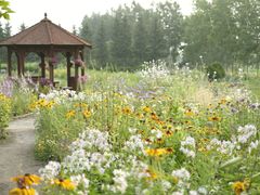 紫竹ガーデン満喫プラン 色とりどりの花々に囲まれた癒しの空間で、特別なひとときを過ごすコース＜昼食付／帯広＞