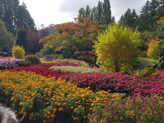 ビクトリアとブッチャートガーデン　1日観光ツアー ＜多言語オーディオガイド／バンクーバー発＞