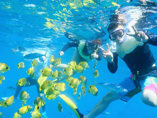 snorkeling-tropicalfish-1