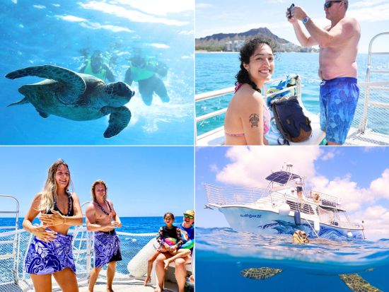 ウミガメシュノーケリング　アリアⅡ号　フラやタトゥーシールなどのハワイ文化体験も！ソフトドリンク付き　ワイキキ送迎可＜3時間／日本語または英語／ケワロ湾発＞