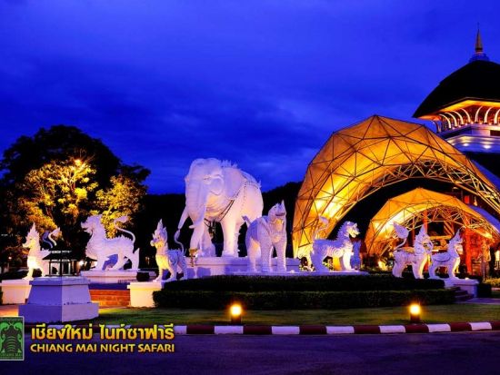 【貸切】チェンマイナイトサファリ半日観光ツアー＜選べる出発時間／日本語ガイド＞