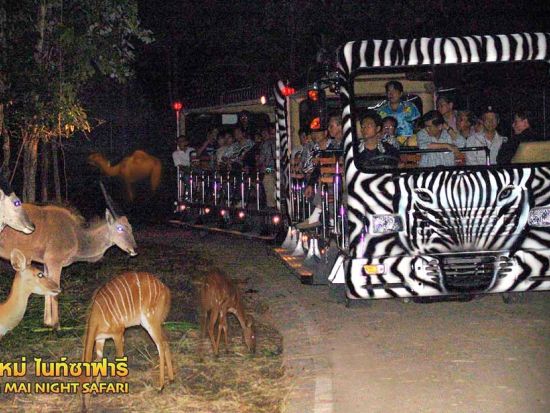 【貸切】チェンマイナイトサファリ半日観光ツアー＜選べる出発時間／日本語ガイド＞