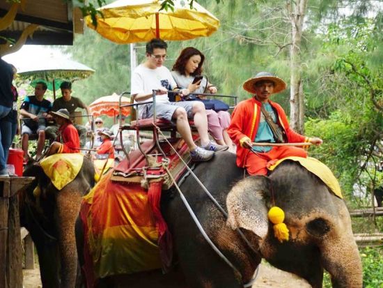 【貸切】メークロン線路市場＋ダムヌンサドゥアック水上マーケット＋象乗り観光ツアー＜1日／日本語ガイド／昼食＞