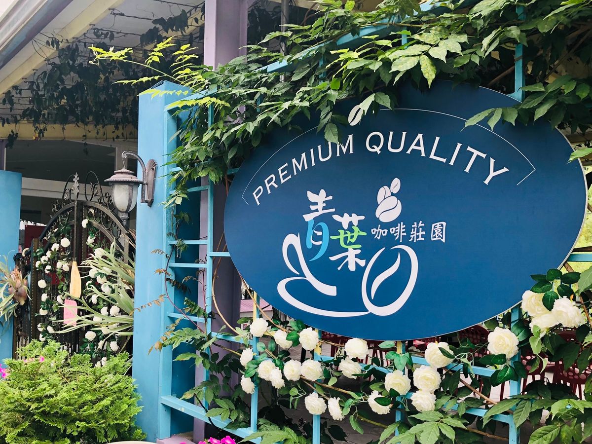 20250108042826_734387678_2077_