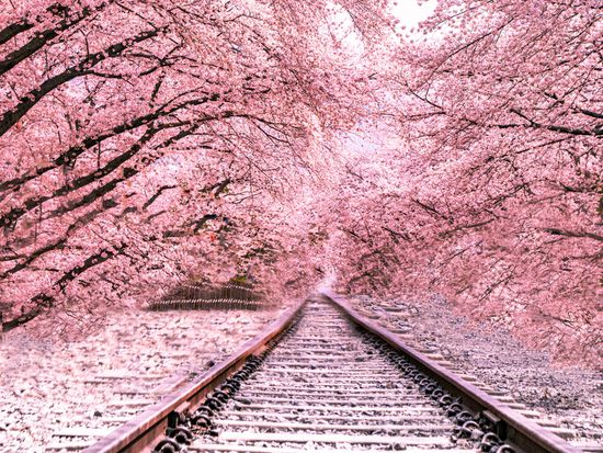 KakaoTalk_Photo_2023-04-03-09-10-38 002