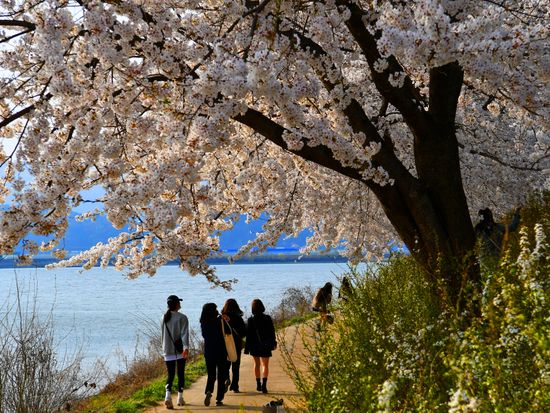 2712010202004007k_春川