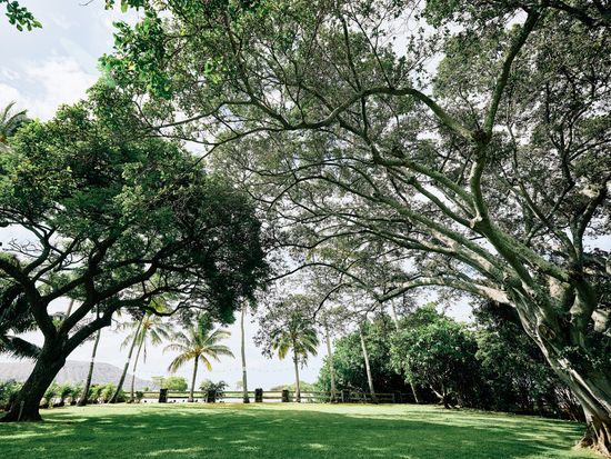 マウロアガーデン_13