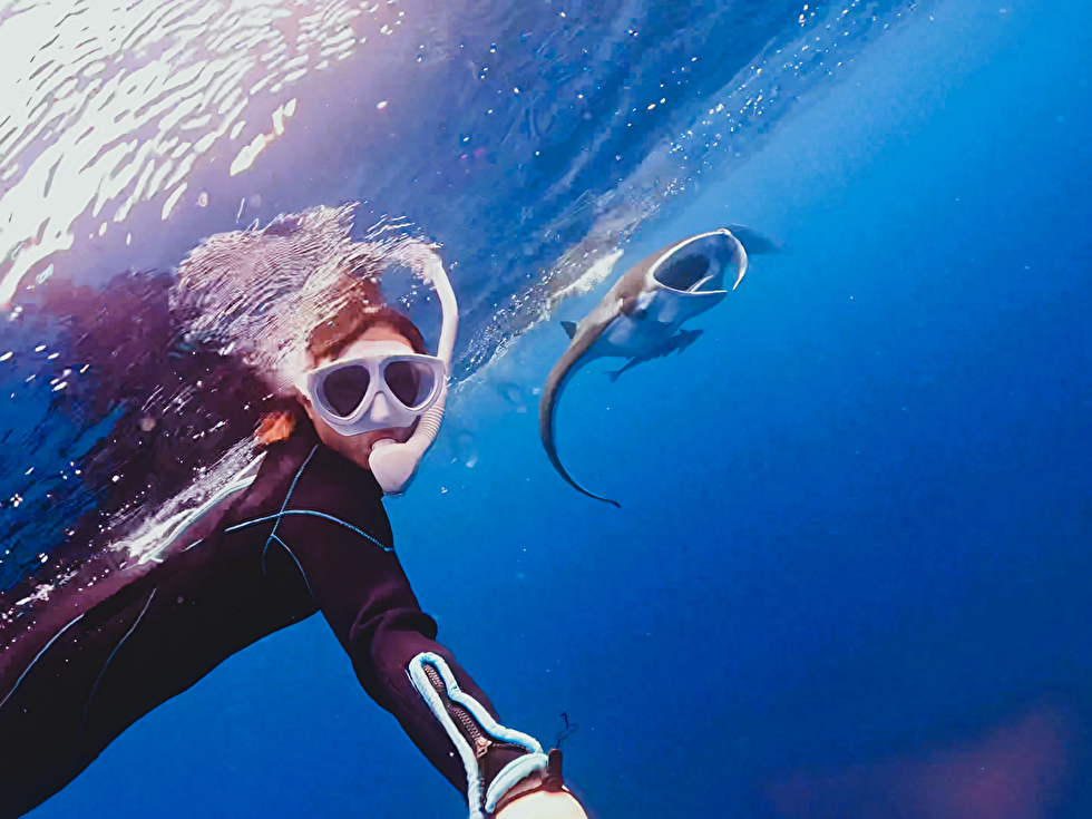 20250110002831_1210906695_1432