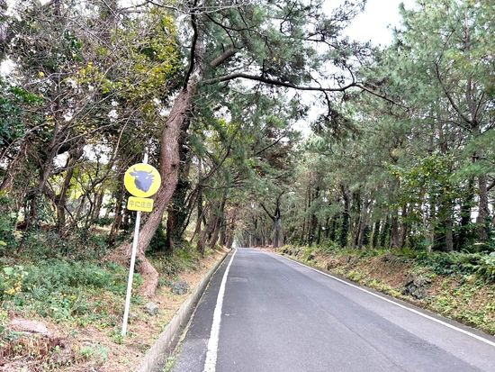 20240920101643_1534042017_15590_0