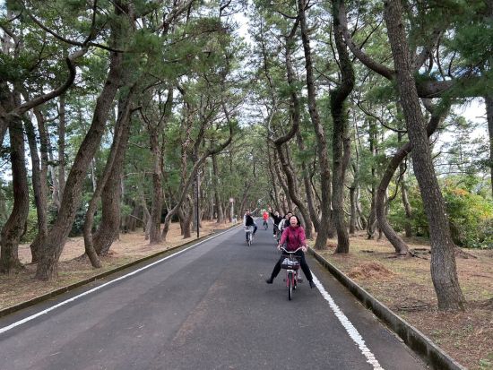 五島列島 小値賀島・斑島 半日サイクリングツアー　初心者向け おすすめ観光スポットめぐりや島の暮らしに触れるゆったり自転車旅 ＜午前発／約3時間／小値賀町＞