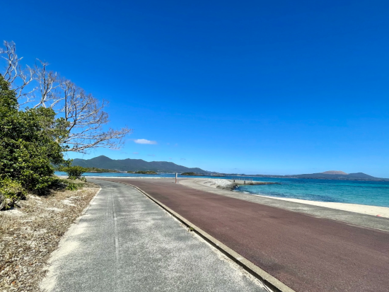 五島列島 福江島半日サイクリングツアー 富江コース　五島の自然が育む島の暮らしを探訪 ＜午後／約3.5時間／五島市＞