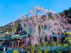 pixta_60411591_M