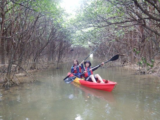 慶佐次川マングローブカヤックツアー 　沖縄本島最大規模のマングローブ群衆を誇るやんばるエリアで体験　3歳から参加可能＜やんばる（東村）＞by やんばる.クラブ