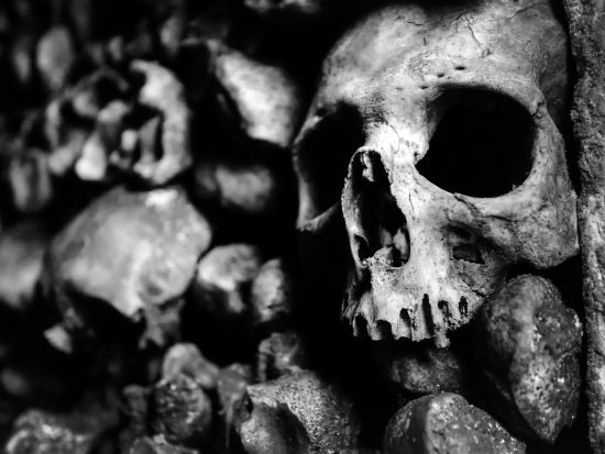 パリのカタコンベ：入場チケット＋オーディオガイド ＊申込と同時に即予約確定