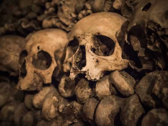 パリのカタコンベ：入場チケット＋オーディオガイド ＊申込と同時に即予約確定