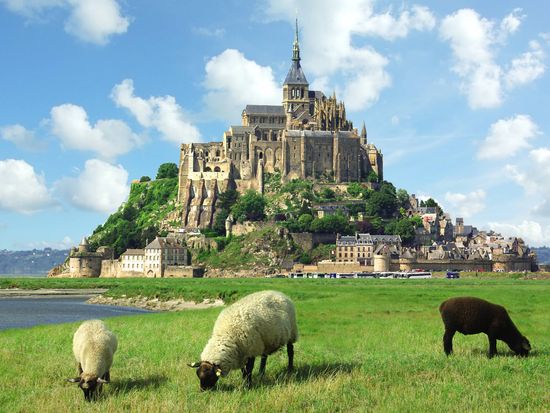 Mont_Saint_Michel_Sheep_shutterstock_47551900