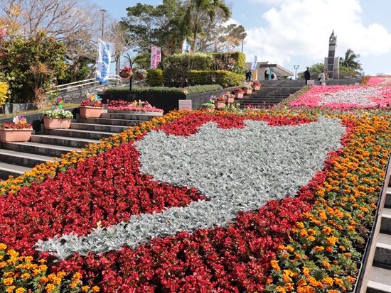 美ら海花まつり_(2)