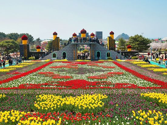 泰安世界チューリップ花博覧会 (6)