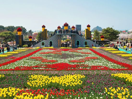 4月3日～5月6日限定！泰安チューリップ祭り＆イチゴ狩りツアー＜1日／1名参加OK／選べる出発地／英語ガイド／ソウル発＞