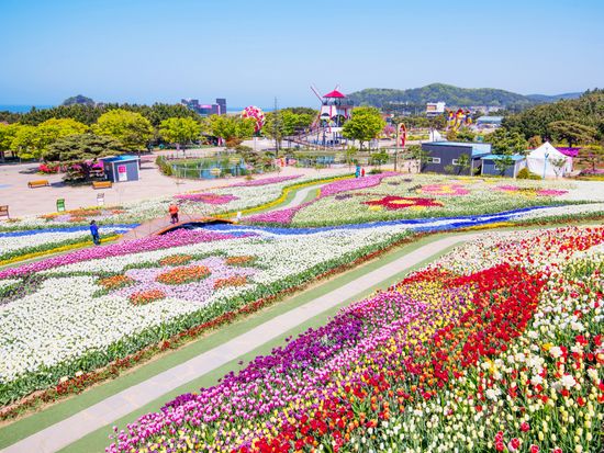泰安世界チューリップ花博覧会 (5)
