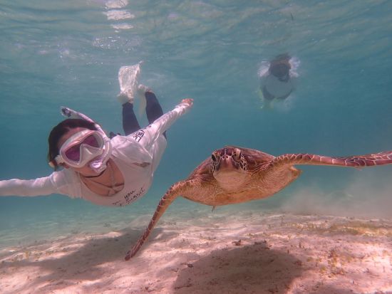 ウミガメシュノーケルorウミガメ＋熱帯魚シュノーケル 高確率で出会える◎宮古島の美しい海でウミガメ探索ツアー＜写真データ付／宮古島＞