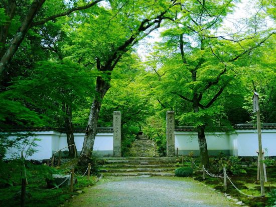 プライベート和菓子作り体験 美しい庭園と抹茶も堪能＜貸切／京都市西京区＞