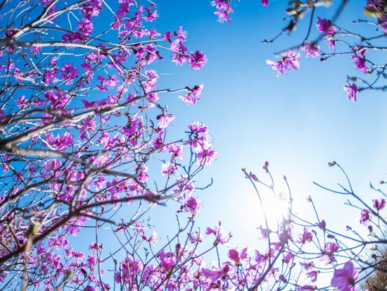 1116024201904007k_Yeosu Yeongchwisan Mountain