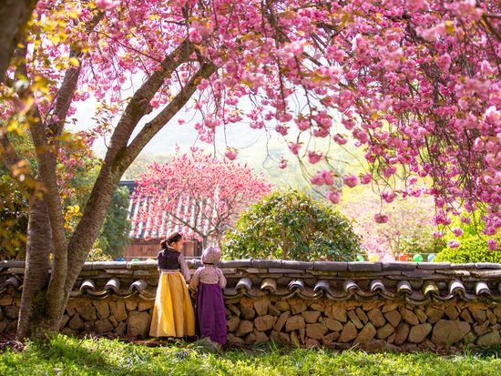 3820152202304002k_Fairy_s Spring Picnic