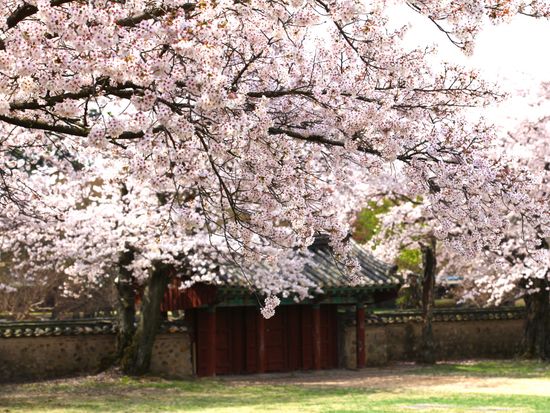 04028k_Daereungwon Park(Tomb Cheonmachong)