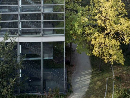 カルティエ財団 オルガ・デ・アマラル 展示：入場チケット ＊申込と同時に即予約確定 