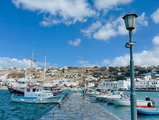 ミコノス島半日観光ウォーキングツアー＜午前 or 午後／約2時間／英語／ミコノス島発＞